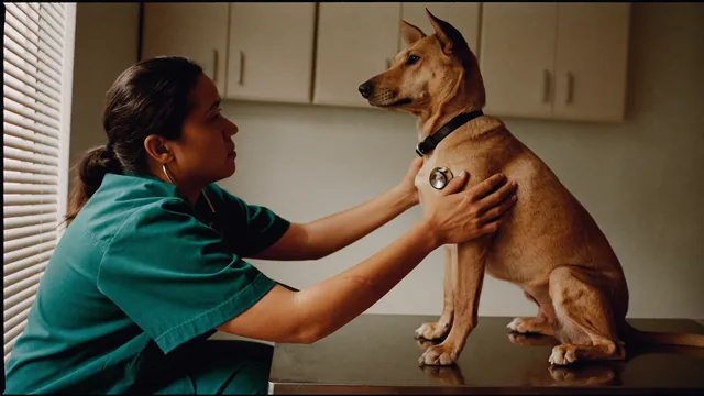 Veterinaria